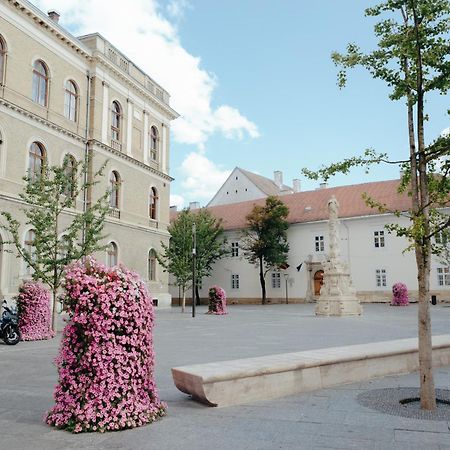 Bethlen Central Studio Cluj-Napoca Eksteriør billede
