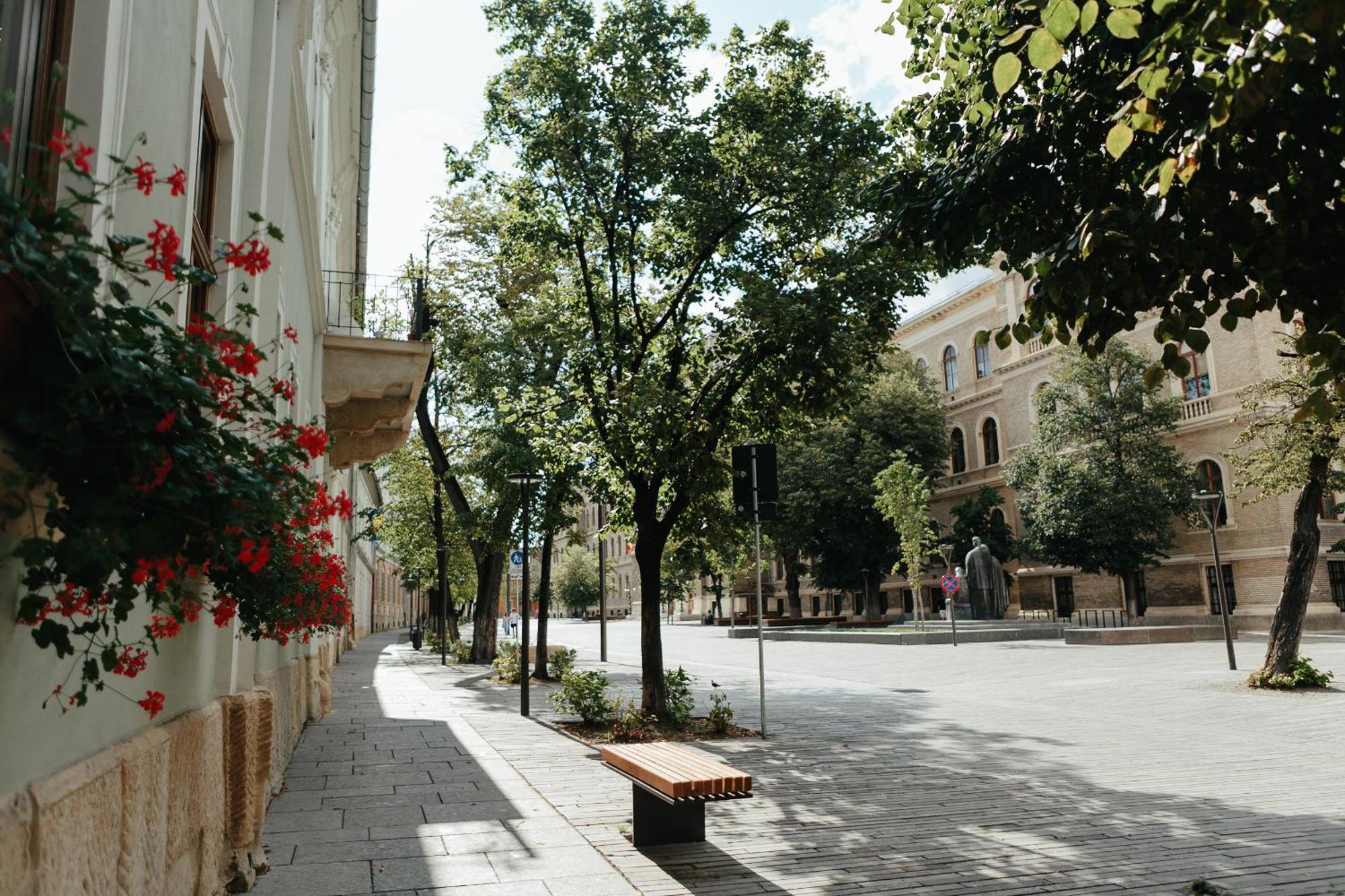 Bethlen Central Studio Cluj-Napoca Eksteriør billede